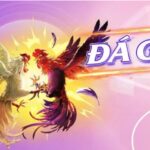 The Evolution of the “Veso” Era in Online Casino Gaming